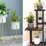 Piante appendere bagno terrarium ideagroup vasetti