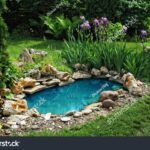 Pond water garden ideas gardens backyard small ponds container features feature containers landscaping vegetable homeideas design diy article gardening urban