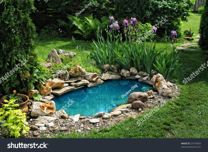 Pond water garden ideas gardens backyard small ponds container features feature containers landscaping vegetable homeideas design diy article gardening urban